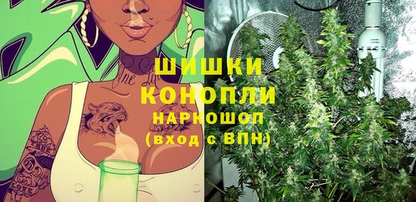 шишки Армянск