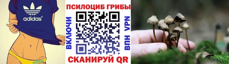 darknet телеграм  Камышлов  Псилоцибиновые грибы мухоморы 